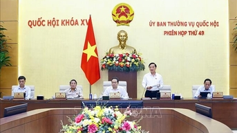 Phiên họp thứ 49 Ủy ban Thường vụ Quốc hội: Chủ động, linh hoạt, dám nghĩ, dám làm để thực hiện thắng lợi nhiệm vụ đề ra
