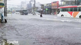 동나이는 앞으로 7일간 비가 계속 내릴 것으로 예상됩니다.