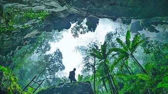 Ngành văn hóa thi đua yêu nước