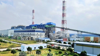 Khai thác tiềm năng, lợi thế Khu kinh tế Thái Bình