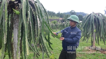 Điềm He khởi sắc