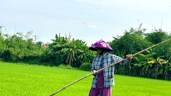 Bảo đảm cấp nước sản xuất vụ mùa năm 2025