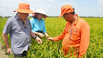 Chinh phục vùng đất trũng phèn Hòa Điền