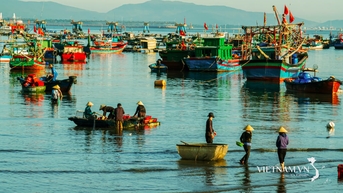Nhịp sống làng biển