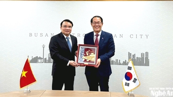 Phó Chủ tịch UBND tỉnh Nghệ An Phùng Thành Vinh làm việc với lãnh đạo thành phố Busan (Hàn Quốc)