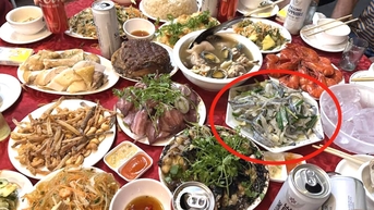 ពិធី​រៀប​ការ​នៅ​ខេត្ត Quang Ninh បង្ក​ឲ្យ​ក្តៅ​ខ្លួន ភ្ញៀវ​ភ្ញាក់​ផ្អើល​ពេល​សាក​ដង្កូវ​សមុទ្រ​បំពង