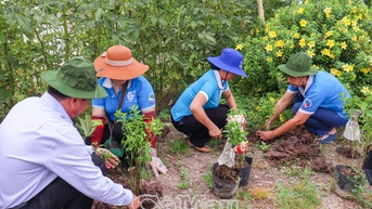 Hội LHPN tỉnh Cà Mau phát động trồng cây xanh tại xã Đá Bạc