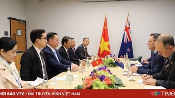 Thúc đẩy quan hệ Đối tác Chiến lược toàn diện Việt Nam - New Zealand