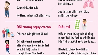 ទប់ស្កាត់ជំងឺគ្រុនផ្តាសាយតាមរដូវយ៉ាងសកម្ម ដើម្បីការពារសុខភាពសាធារណៈ