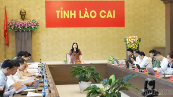 Phó Chủ tịch UBND tỉnh Vũ Thị Hiền Hạnh chủ trì họp triển khai các sự kiện, lễ hội cấp tỉnh cuối năm 2025