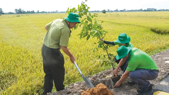 Cần Thơ trồng hơn 3,2 triệu cây xanh