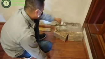 Dịch vụ diệt mối tận gốc an toàn tại nhà - Kiểm Dịch Hà Nội