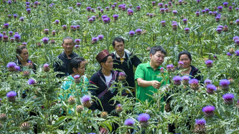 Lào Cai có 3 cá nhân được công nhận danh hiệu tại Chương trình “Tự hào Nông dân Việt Nam” năm 2025
