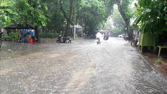 Thời tiết đêm 24 và ngày 25/9: Miền Bắc và Bắc Trung Bộ nhiều nơi mưa lớn, gió mạnh
