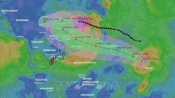 Bão số 9 vẫn duy trì tốc độ và sức gió, cách Móng Cái (Quảng Ninh) khoảng 570km