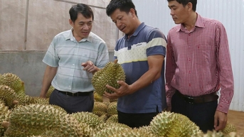 Sức trẻ ở các hợp tác xã (Kỳ cuối)