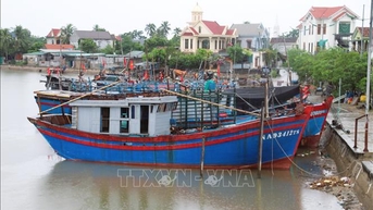 Các địa phương ven biển Nghệ An chủ động ứng phó với bão số 9