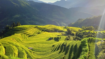 Ngắm những thửa ruộng bậc thang tuyệt đẹp ở Hoàng Su Phì
