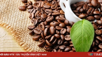 Tận dụng các ưu đãi từ FTA để tăng xuất khẩu