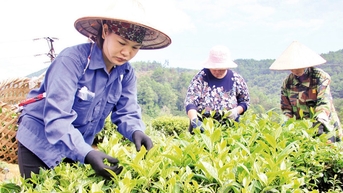 Lạng Sơn đầu tư hạ tầng thiết yếu, nhân rộng mô hình giảm nghèo điển hình