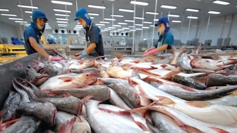 Ngân hàng Nhà nước nâng quy mô tín dụng nông, lâm, thủy sản lên 185.000 tỷ đồng