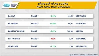ទង់ដែង COMEX ទាញទីផ្សារលោហៈ MXV-Index បន្ថែមវគ្គពណ៌បៃតងមួយទៀត