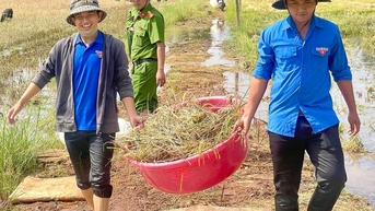 Dấu ấn thanh niên tình nguyện trên những miền quê