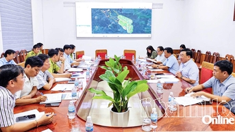 Sớm khai thác tận thu lâm sản, tích nước hồ chứa nước Sông Chò 1