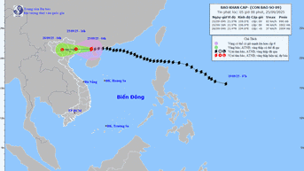 Bão số 9 Ragasa giảm xuống cấp 9, giật cấp 11, cách Móng Cái khoảng 120km
