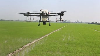 Mở hướng đột phá cho nông nghiệp ĐBSCL