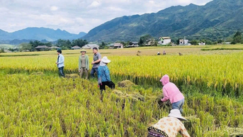 Phường Cầu Thia chủ động phòng chống bão số 9, đảm bảo an toàn sản xuất và đời sống Nhân dân