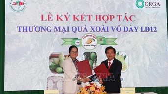Ký kết hợp tác thương mại hóa giống xoài Cát Lộc Phát
