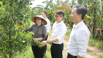 은행 대출은 남부 Duong River 지역을 지원합니다.