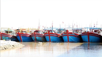 Chống khai thác IUU: Quyết liệt xử lý tàu cá '3 không'