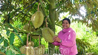 Những phụ nữ dân tộc thiểu số làm kinh tế giỏi