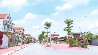 Sức hút từ những "hạt nhân"