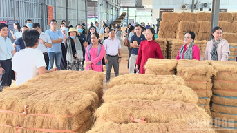 សិក្ខាសាលា Vinh Long ស្តីពីការអភិវឌ្ឍន៍ផលិតផលទេសចរណ៍តាមដងទន្លេ