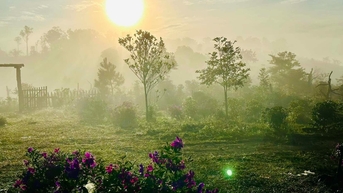 Ngôi làng bình yên ở Măng Đen bất ngờ hút khách nhờ những kho lúa