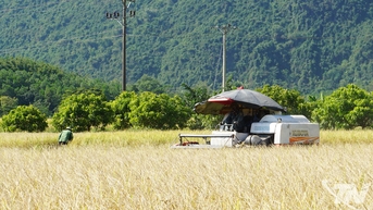 Vùng đất mới, niềm tin mới