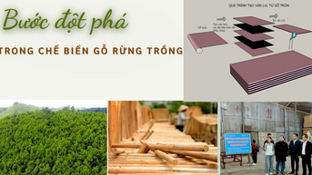 របកគំហើញក្នុងការកែច្នៃឈើព្រៃ