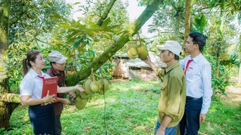 Thêm trợ lực cho “Tam nông”