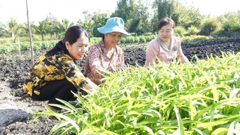 An Giang បង្កើនប្រសិទ្ធភាពការងារចលនាមហាជនក្នុងស្ថានភាពថ្មី។