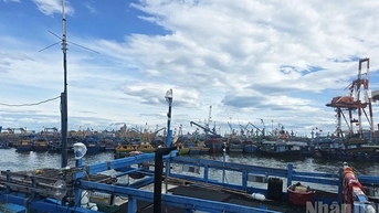 Gia Lai khẩn trương kêu gọi 141 tàu thuyền di chuyển khỏi vùng...