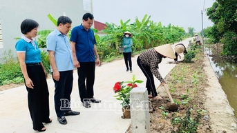 Xã Hồng Quang trồng 500m tuyến đường hoa