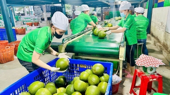អាជីវកម្មវៀតណាមស្វែងរកការចូលសហភាពអឺរ៉ុបតាមរយៈស្តង់ដារ ESG