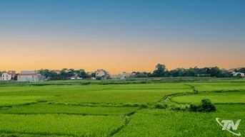 Một thời hò đối ven sông