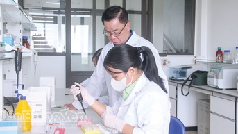 Những bông hoa trong vườn hoa muôn sắc thắm