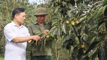 Tinh hoa đất trời Xuân Vân
