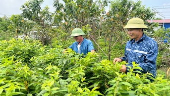 បទប្បញ្ញត្តិថ្មីស្តីពីការបង្កើតមូលនិធិសហករណ៍ក្នុងស្រុក