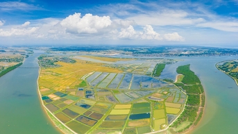 Vẻ đẹp thơ mộng cù lao Bắc Phước